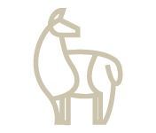 Fauna autóctona y paisajes del Noroeste Argentino (NOA)